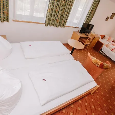 Guest house Haidbach 2*
